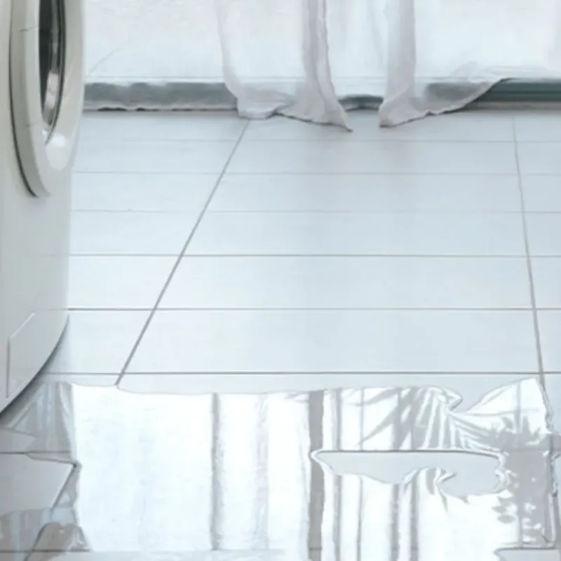 Appliance Leak Cleanup in Hinckley, IL