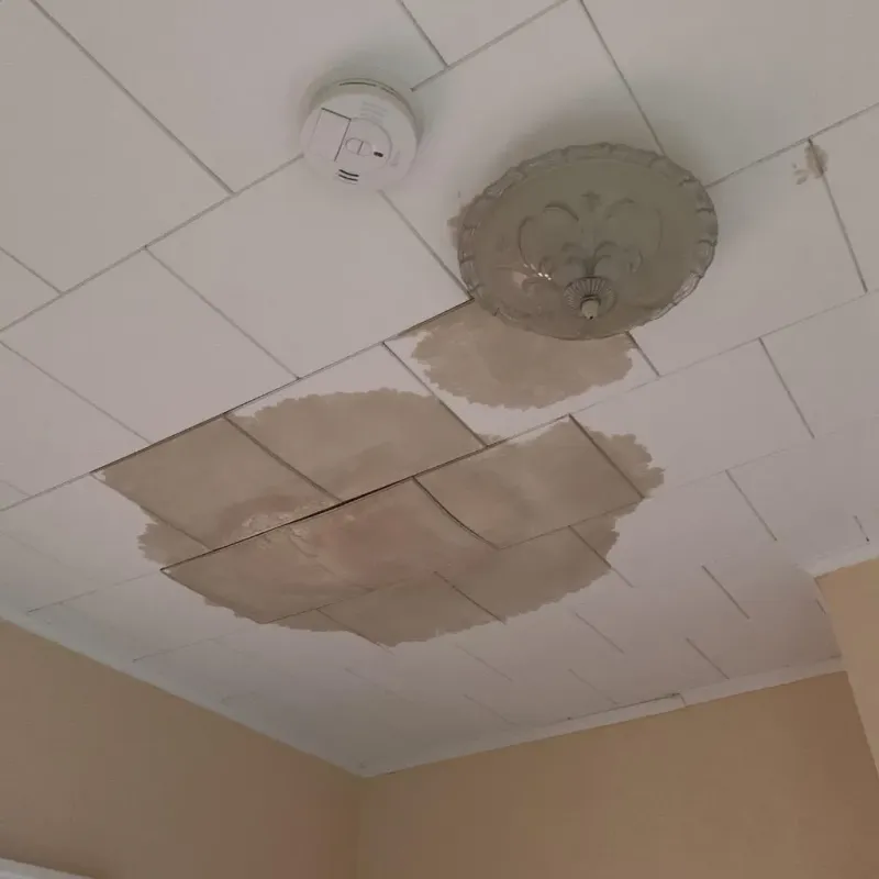 Ceiling Water Damage Repair in Hinckley, IL