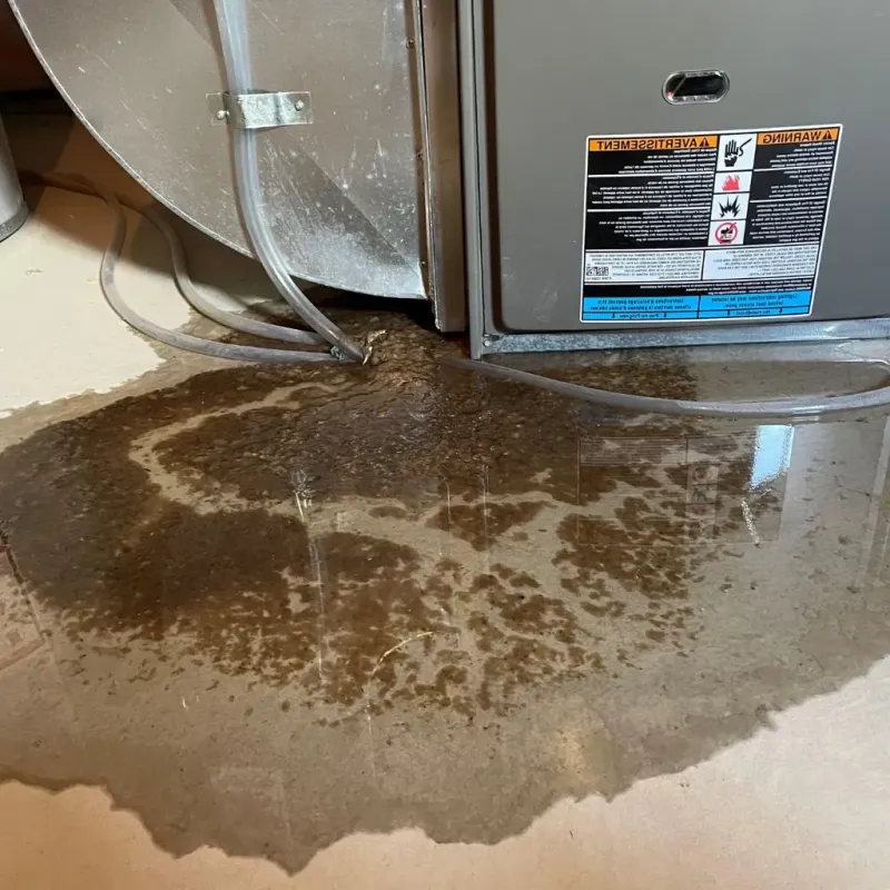 Pipe Burst and Leak Restoration in Hinckley, IL