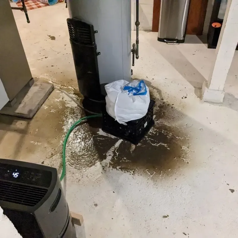 Sewage Backup Cleanup Service in Hinckley, IL